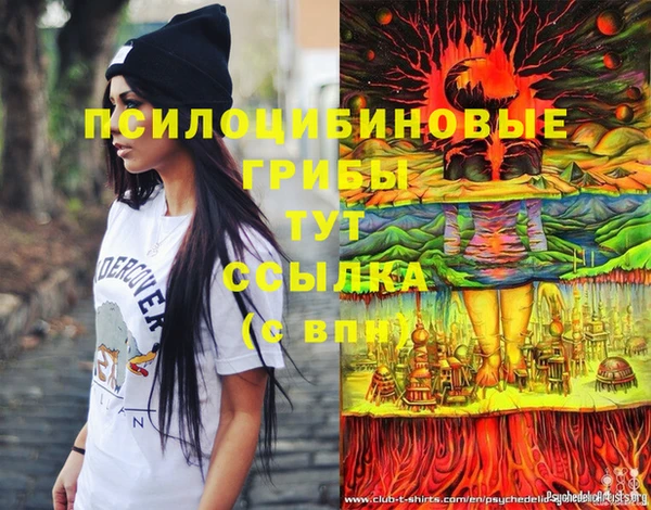 a pvp Балабаново